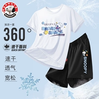 [SET] Звезда YouBibai+Constellation Nabi Short Black Bins