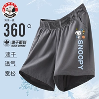 Созвездие Наби короткие серого брюки