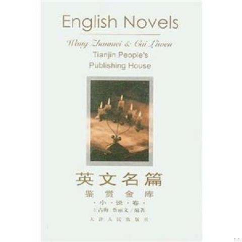 English Masterpieces Appreciation Library: Novel Collection by Wang Zhanmei 9787201031750 (Single Volume, Not a Set)