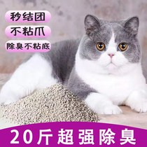 Cat Sands Special Price Bentonite Cat Sands Seconds Knot 20 catty 40 catsand with cat sand 5KG Low dust