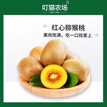 Red heart kiwi fruit fresh fruit kiwi fruit pregnant women green kiwi fruit Sichuan kiwi fruit extra large fruit vitamin C king