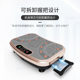 Lazy People's Standing Vibration Machine for Slimming Belly, Waist, and Calves; Equipment for Reducing Belly Fat; Fat-Shaking Machine for Cross-Border Sales