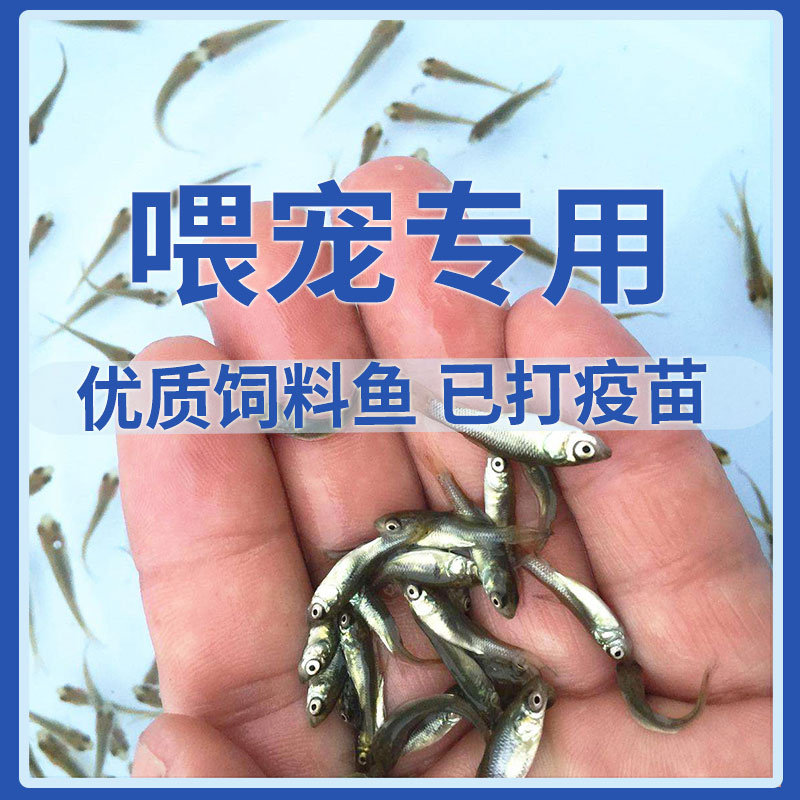 武汉活体养殖基地