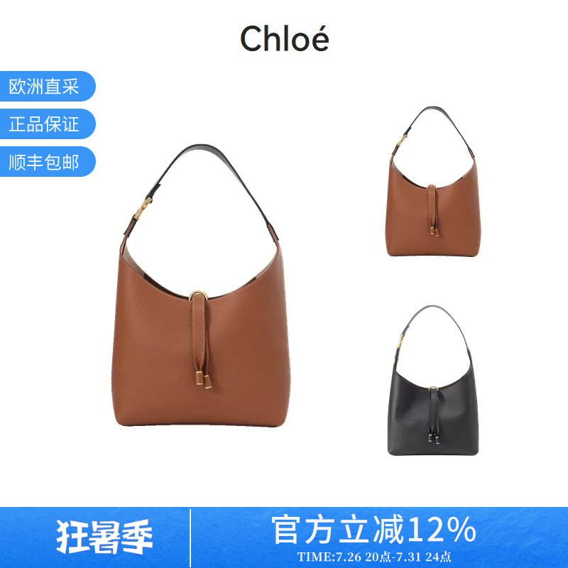 Chloe Women's Small Hobo Bag Underarm Bag Handbag Shoulder Bag Chc24As629I31
