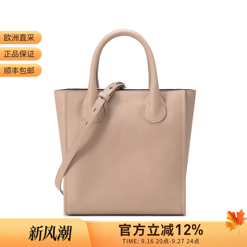 Chloe Women's Small Tote Bag, Hand-Held Shoulder Crossbody Bag Chc21Ws458F46