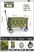 Получите входной абзац [зеленый]