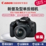 [Brand new Authentic] Canon / Canon EOS 1500D SLR 18-55 kit nhập cảnh cấp độ Máy ảnh kỹ thuật số HD máy ảnh gia đình chụp ảnh phong cảnh chụp ảnh không dây WIFI - SLR kỹ thuật số chuyên nghiệp máy ảnh canon m50