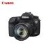 [Mới xác thực] Canon / Canon EOS 7D Mark II SLR 18-135 USM kit ống kính chuyên nghiệp danh sách cao máy ảnh chuyên nghiệp 7D2 nhập cảnh ở nhà 7D 2 - SLR kỹ thuật số chuyên nghiệp