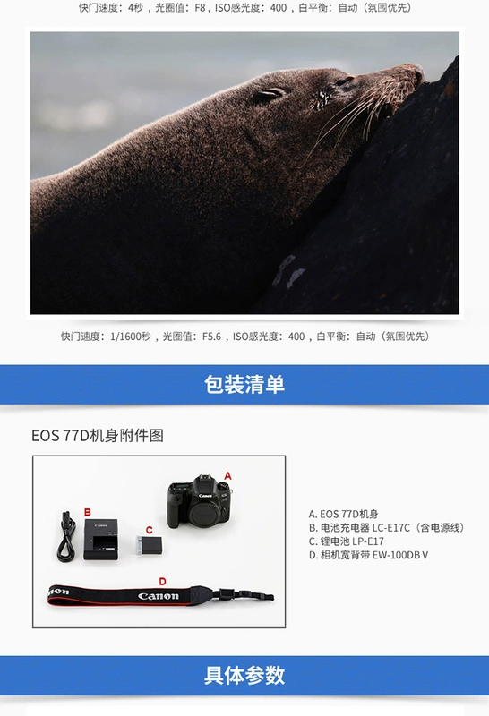 [Brand new Authentic] Máy ảnh DSLR kỹ thuật số cấp độ cơ thể Canon / Canon EOS 77D - SLR kỹ thuật số chuyên nghiệp