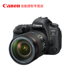 Máy ảnh kỹ thuật số SLR chuyên nghiệp Canon EOS 6D Mark II (24-105mm II) 6D2 chuyên nghiệp SLR kỹ thuật số chuyên nghiệp