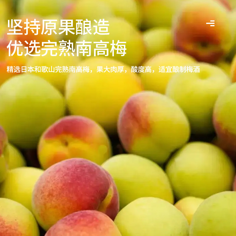 NAKATA中田梅子酒实测!完熟南高纪州本格梅酒12度,喝一口就被惊艳到-梅酒-淘宝好物网
