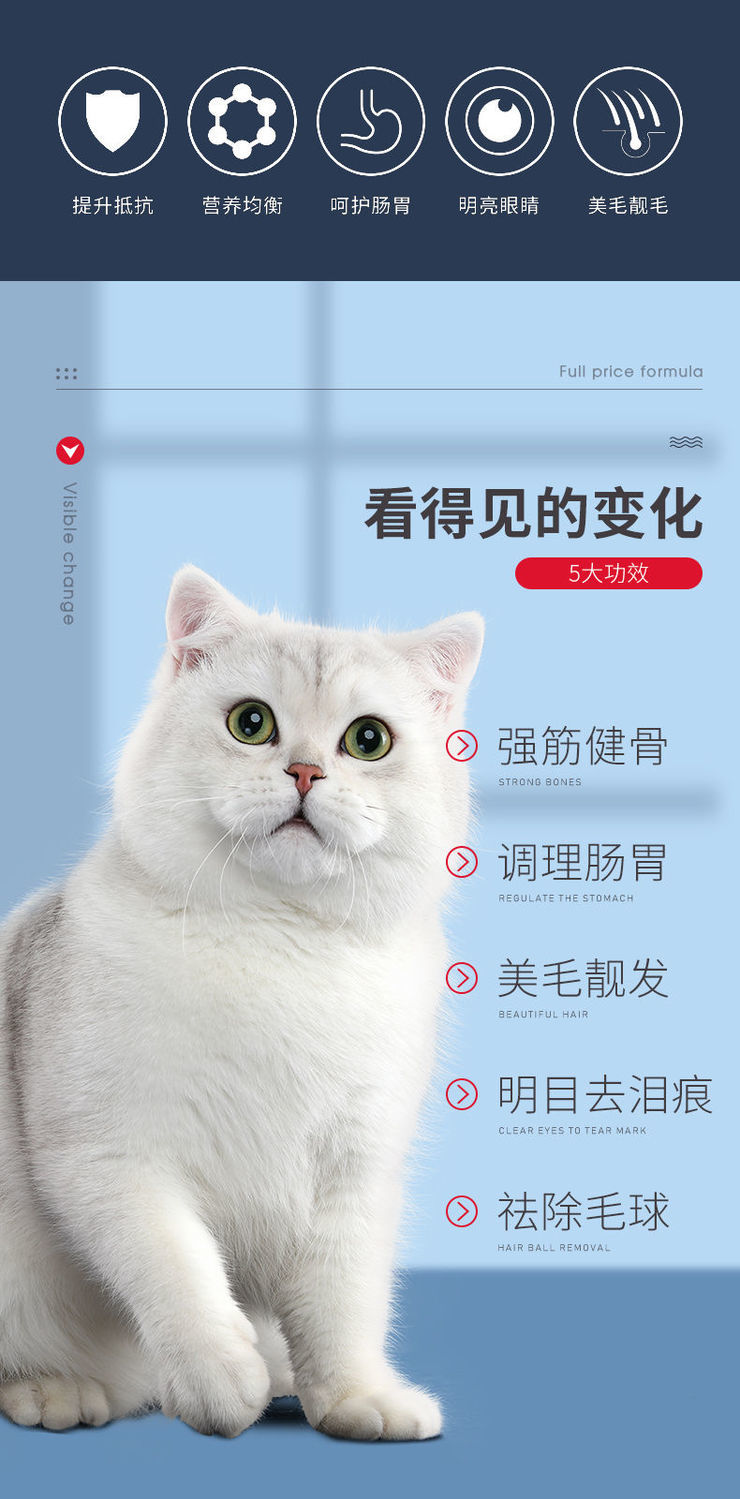 O1CN01DLhLyu2N4ptbY9clB_!!2213001089910.jpg
