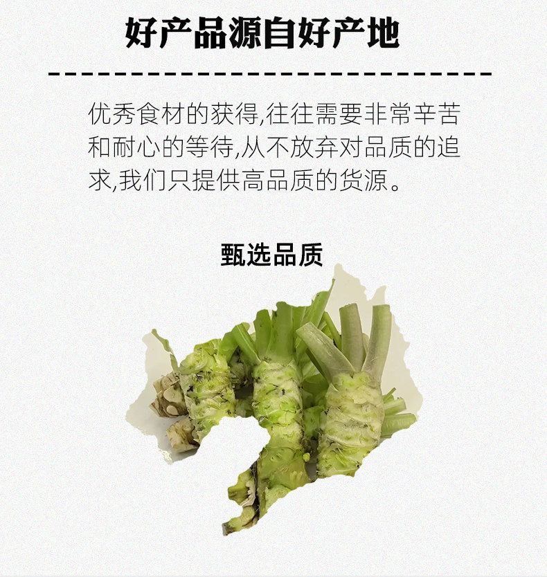 安享好物 安享A级芥末-素裁坊山葵酱 国标 