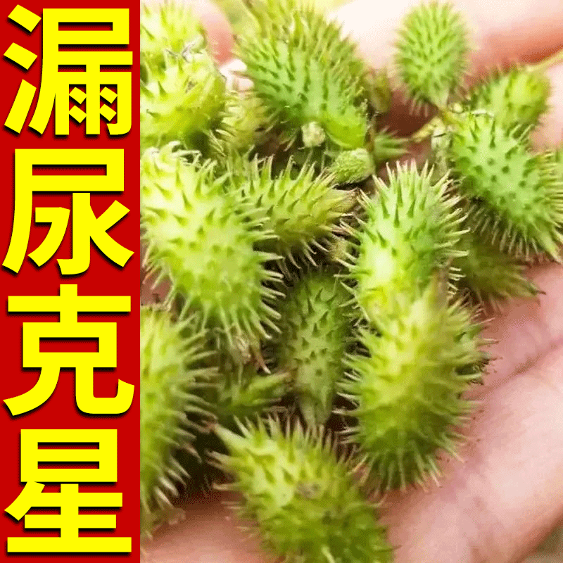 Women's leakage urine sticker sneeze cough in old age Urinary Frequency Urpee Inexhaustible Pelvic Floor Muscle Repair Patch LJ 