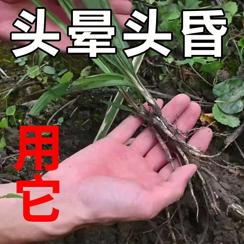 (Dizziness Buster) anti-dizziness artifact special effect dizziness plaster dizziness brain insufficiency of blood supply otolith migraine YN