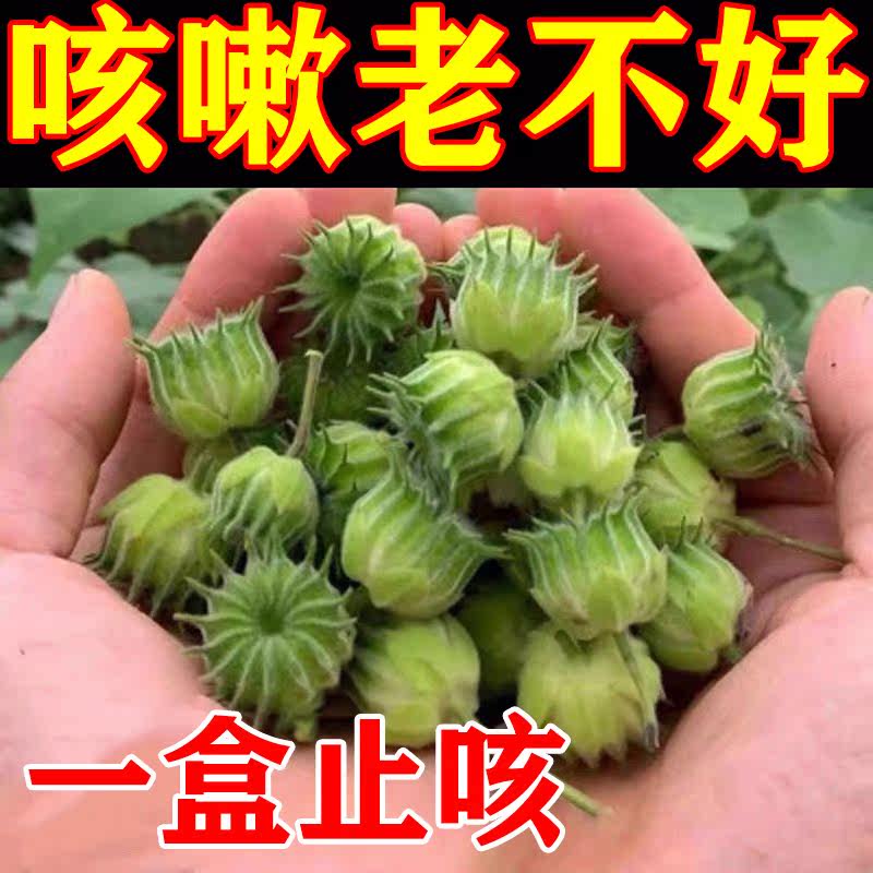 Compound cough-relieving sputum liquorice catharsis cough and cough patch with fever and lung lung adult children dry cough and cough special DR 