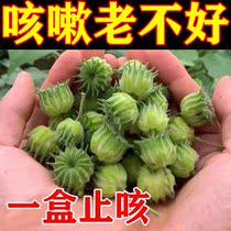 Compound cough-relieving sputum liquorice catharsis cough and cough patch with fever and lung lung adult children dry cough and cough special DR