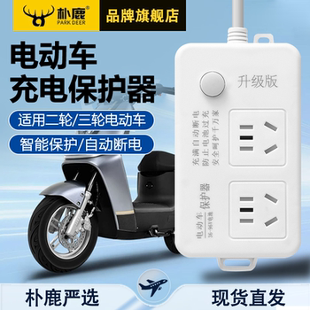 Pulu Electric Vehicle Smart Charger with Automatic Power-Off Protection, Battery Car Extension Cord, Power Strip Socket Board