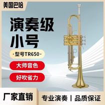 American trumpet instrument B flat TR-650 trumpet beginner grade examination orchestra professional performance level