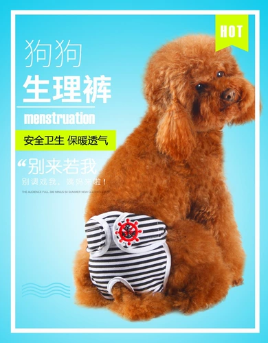 Физиологичные безопасные штаны, физиологичное нижнее белье