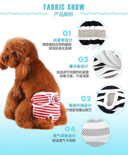 Физиологичные безопасные штаны, физиологичное нижнее белье