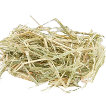 Yuanwupai golden Australian wheat grass Australian oat grass imported sun-dried timothy grass rabbit chinchilla guinea pig hay