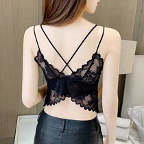 Butterfly small camisole womens new beautiful back bra one-piece top bandeau underwear lace outside wears a base top