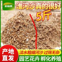 Rock river sand planting flower with soil mixed natural yellow sand paved in stone turtle hibernation hatch egg tank bottom sand