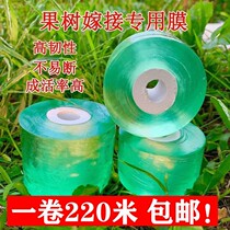 2-8 cm graft film special plastic film fruit tree frame grafted membrane fruit tree wound membrane succession fruit tree grafting self-adhesive