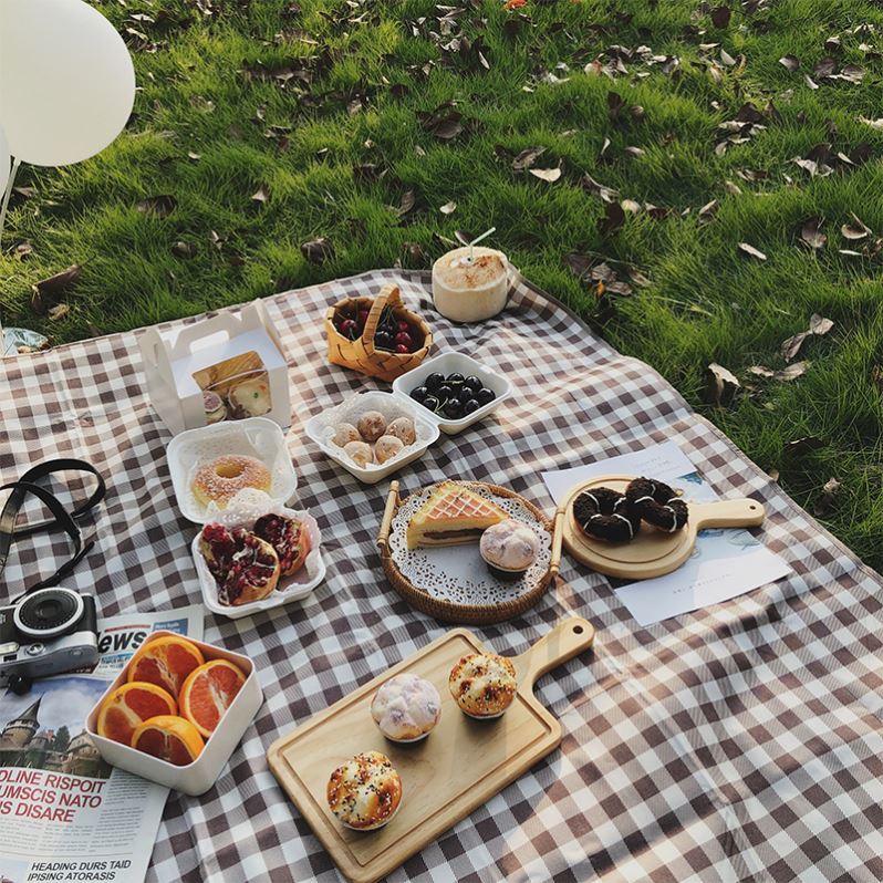 Picnic mat exquisite camping large size outdoor lightweight large French non-stick grass picnic mat picnic cloth picnic