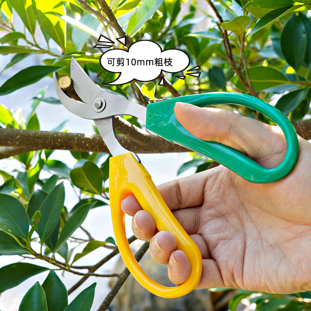 加长稀果剪,轻松修剪盆栽和水果,你值得拥有!修剪利器🌟-园艺刀剪-淘宝好物网