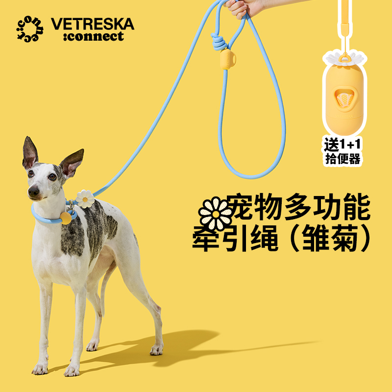 Unlocked P-Type Leash Dog Leash Walking Chain P Chain Anti-Escape for Small, Medium, and Large Dogs