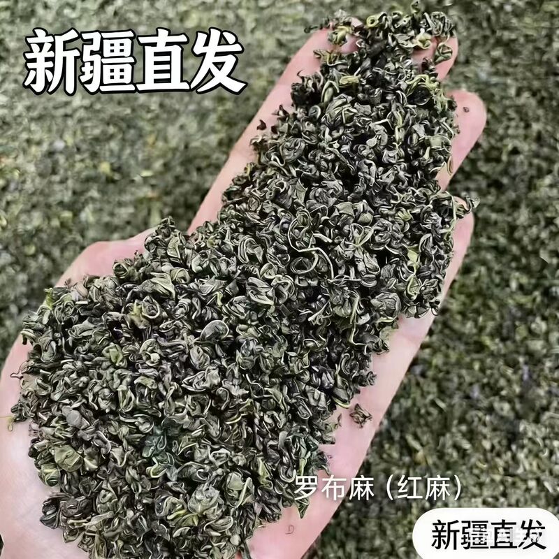 【Direct Mail from Xinjiang】Uyli Robu Tea, Red Hemp and White Hemp New Buds, Xinjiang's Unique Alkaline Tea Leaves for Brewing