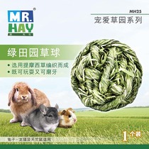 Mr. Grass Pampers Grass Garden Series Timothy Grass Ball Rabbit Totoro Guinea Pig Teething Snack Toy MH25