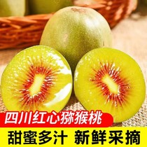 Special red heart kiwi fruit fresh fruit Sichuan Pujiang kiwi fruit seasonal red flesh large fruit 5 catties gift box