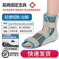 Shoshi Bone Model с левой частью ноги