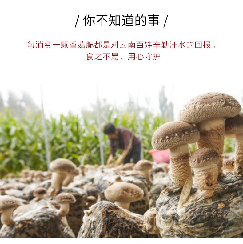 沧江源云南特产蜂蜜黄油香菇脆丁