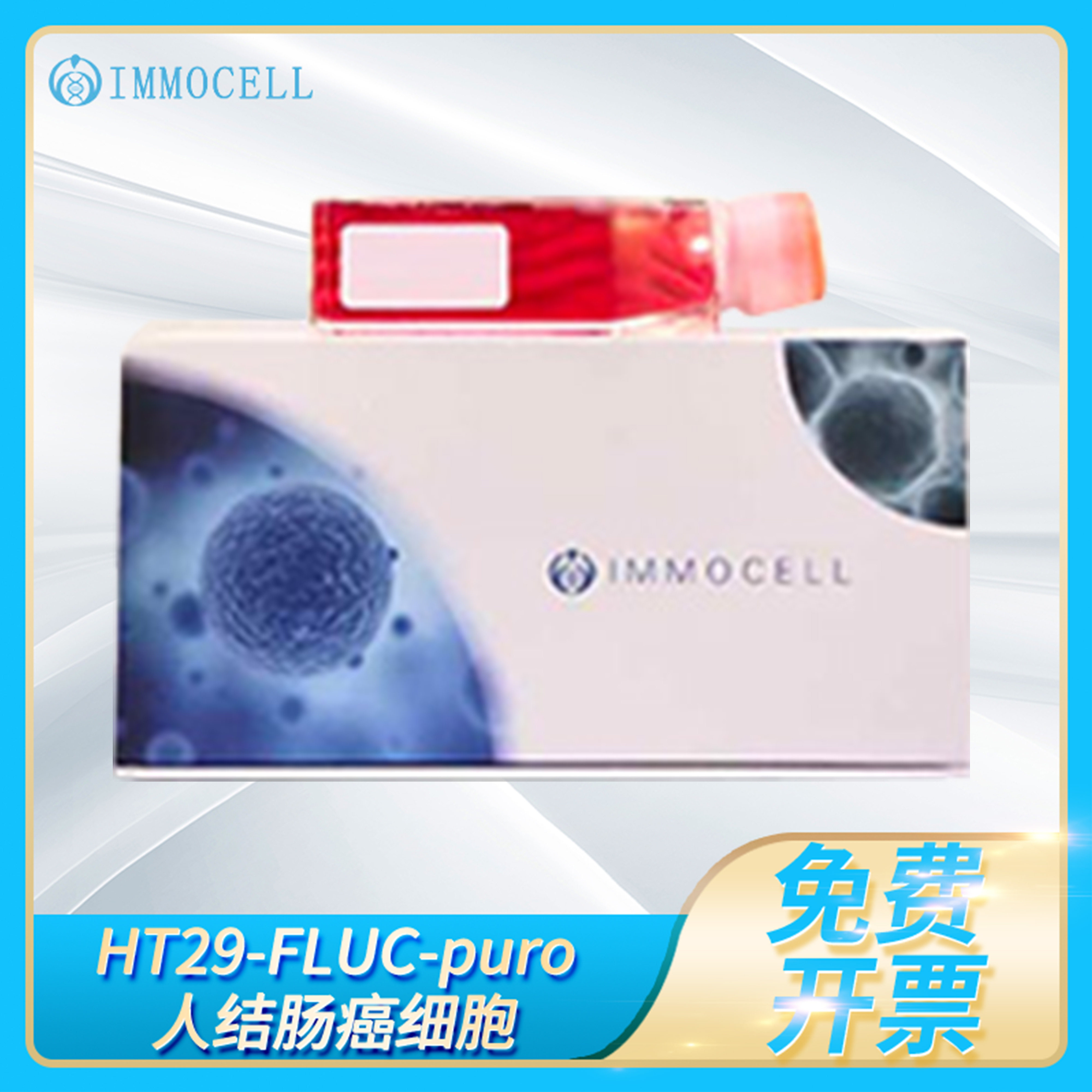 人结肠细胞株-荧光素酶标记HT29-FLUC-puro人结肠细胞(FLUC标记)