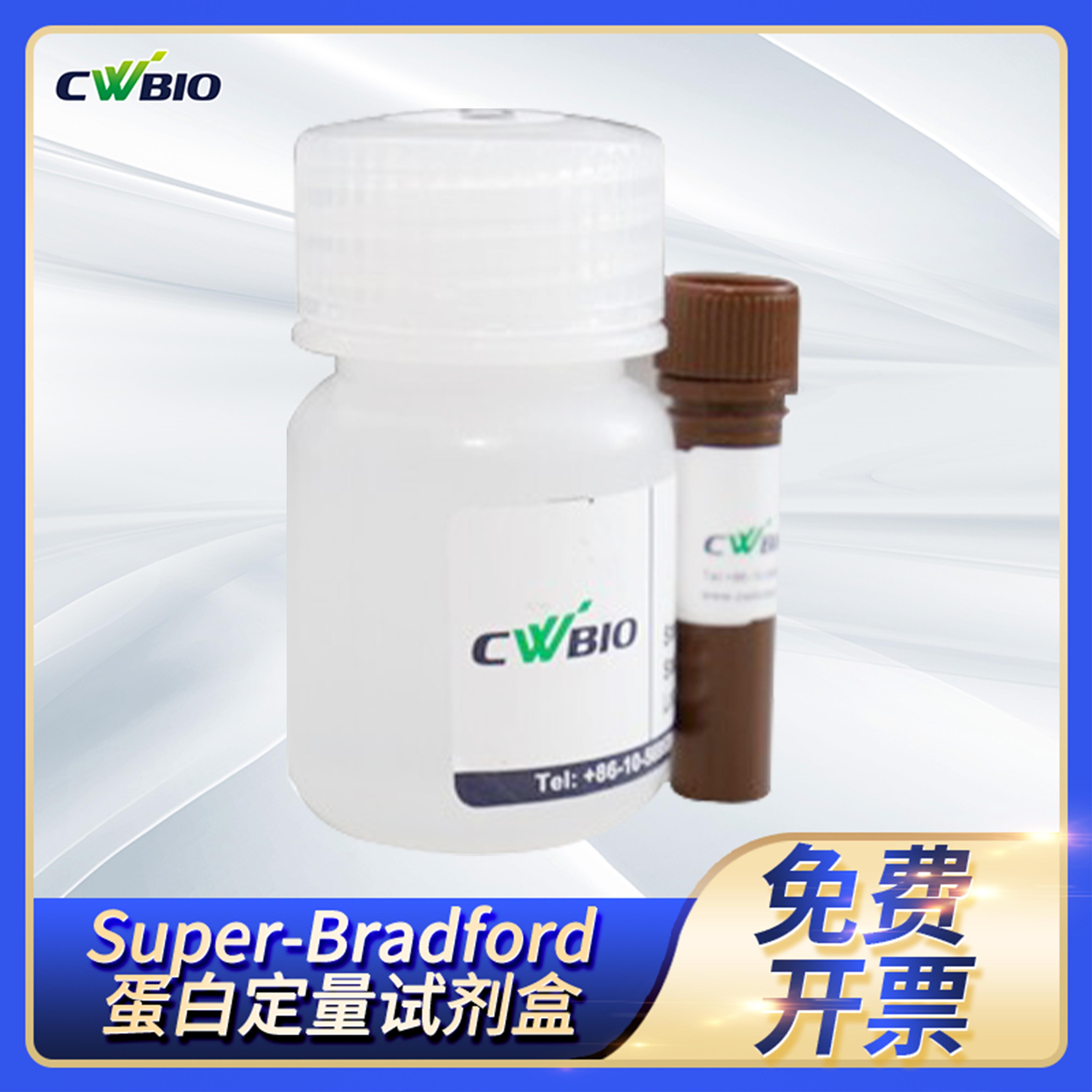 康为世纪速简比色蛋白定量法试剂Super-Bradford蛋白定量试剂盒
