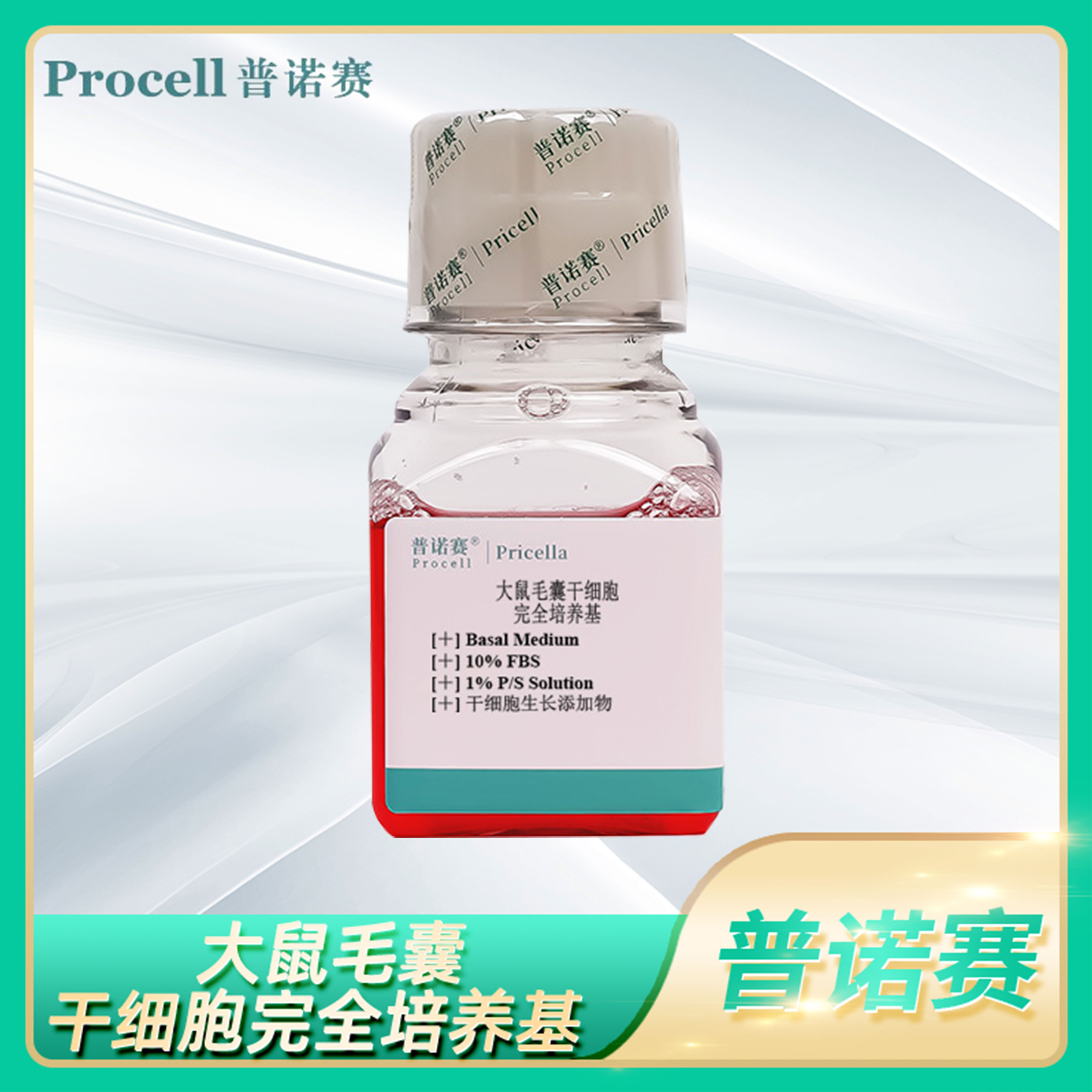 普诺赛Rat Hair Follicle Stem Cell大鼠毛囊干细胞完全培养基