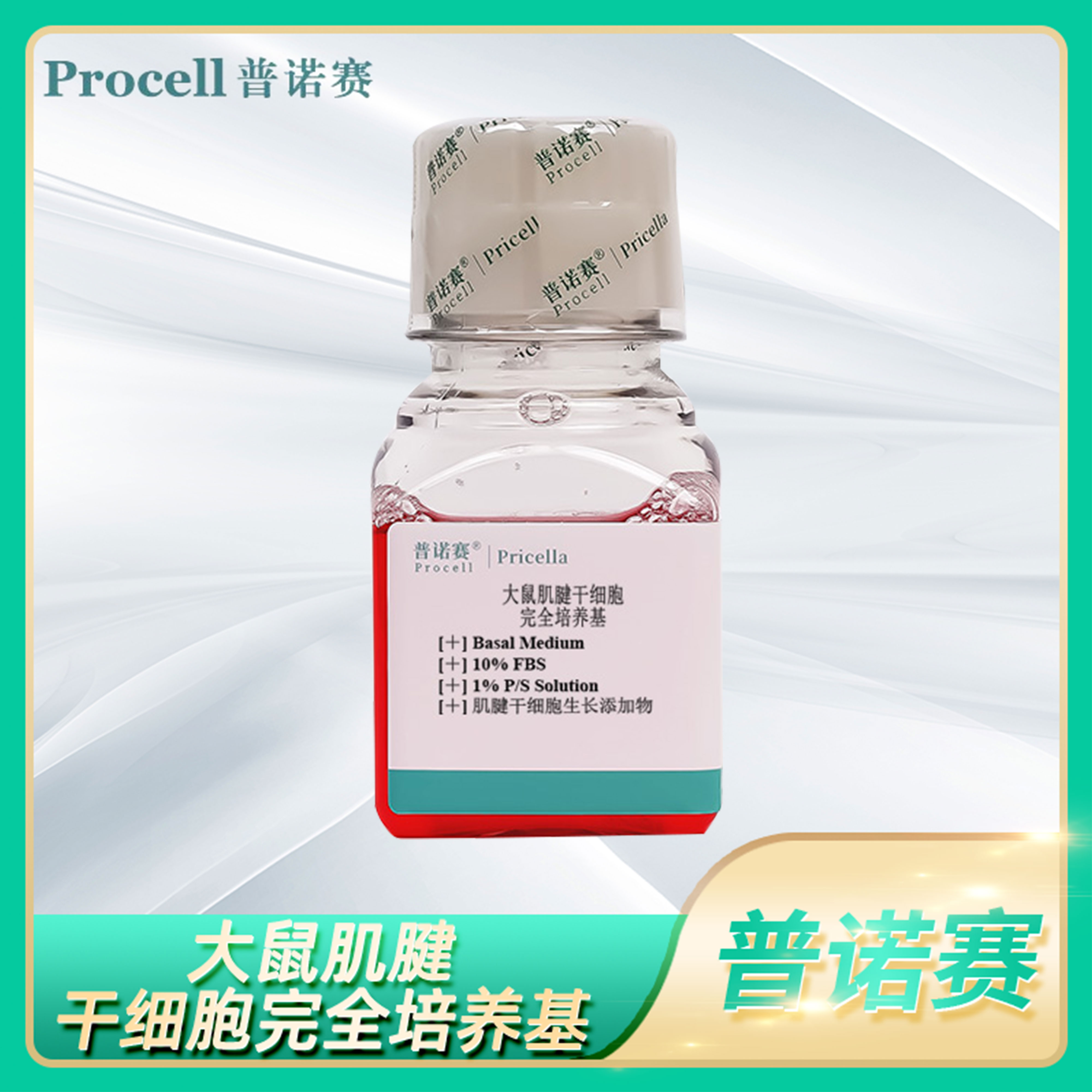 干细胞基础培养液Rat Tendon Stem Cell大鼠肌腱干细胞完全培养基