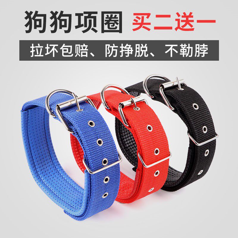 Large Dog Pooch Collar Dog Collar Dog Collar Small Midsize Dog Neck Ring Puppy Ginolla without Rado Neck Ring Pet Supplies