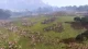 Steam Total War: Three Kingdoms Activation Code China Region Cdk