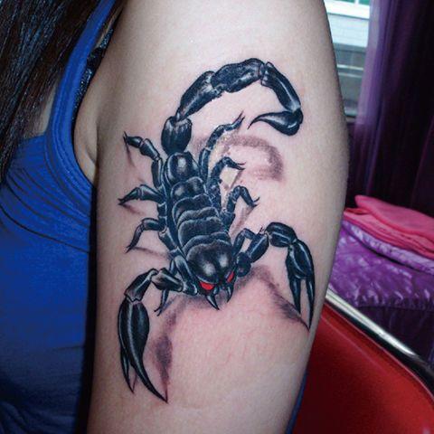 3D Stereo Tattoo Stickers Five Poisonous Scorpions Tattoo Stickers Waterproof Cx048 Scar Cover Arm Wrist Flower Arm Leg Tattoo