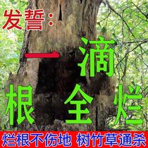 (Big tree weed removal) Tree removal agent removes towering trees and bamboo herbicide rotten roots sweep away tree removal agent