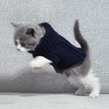 Свитер, демисезонный цветной зимний удерживающий тепло пуховик