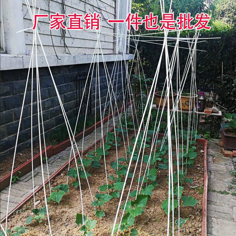 黄瓜搭架杆四季豆爬藤架花架拱竿豇豆玻璃纤维杆豆角支撑杆拱棚棒：园艺爱好者的福音，轻松搞定蔬菜攀爬！-温室大棚支架-淘宝好物网
