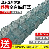 Catching large crayfish with all knotted nets breeding cages crabs hairy crabs folding reinforced large mesh lobster cages