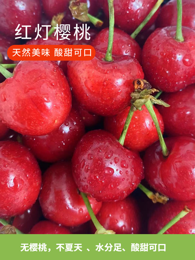 现货冷链速发 山东红灯已验货大樱桃3斤 图1