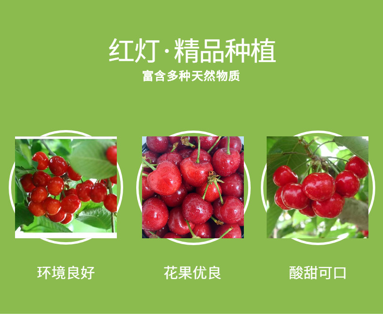 现货冷链速发 山东红灯已验货大樱桃3斤 图4